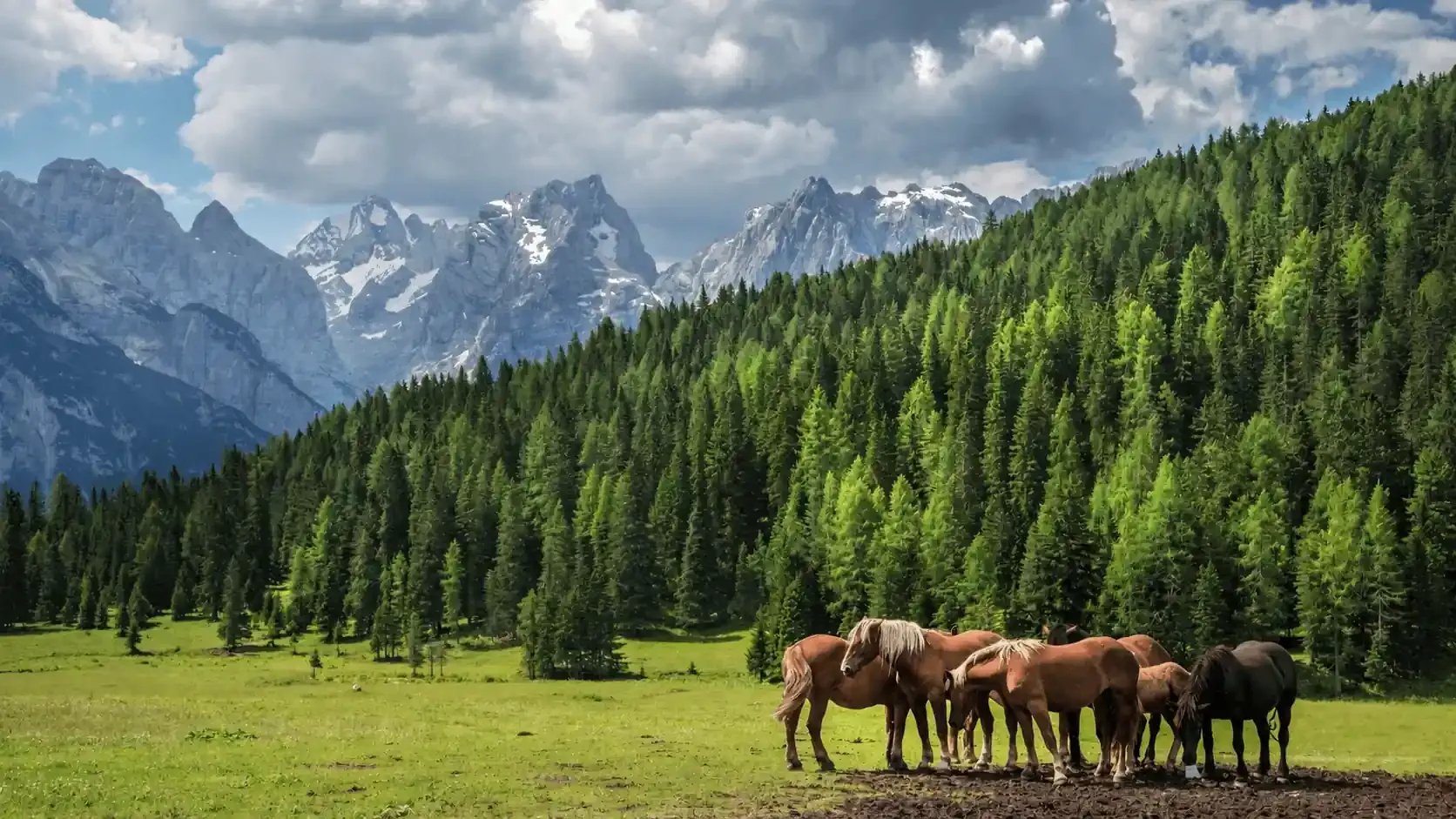 Altyn-Emel National Park
