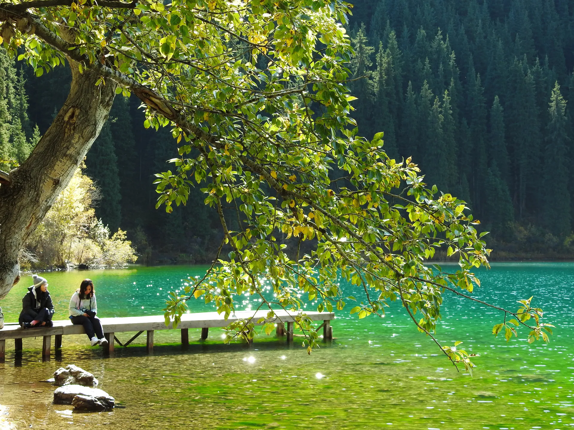 Scenic photo spot at Kolsay Lake