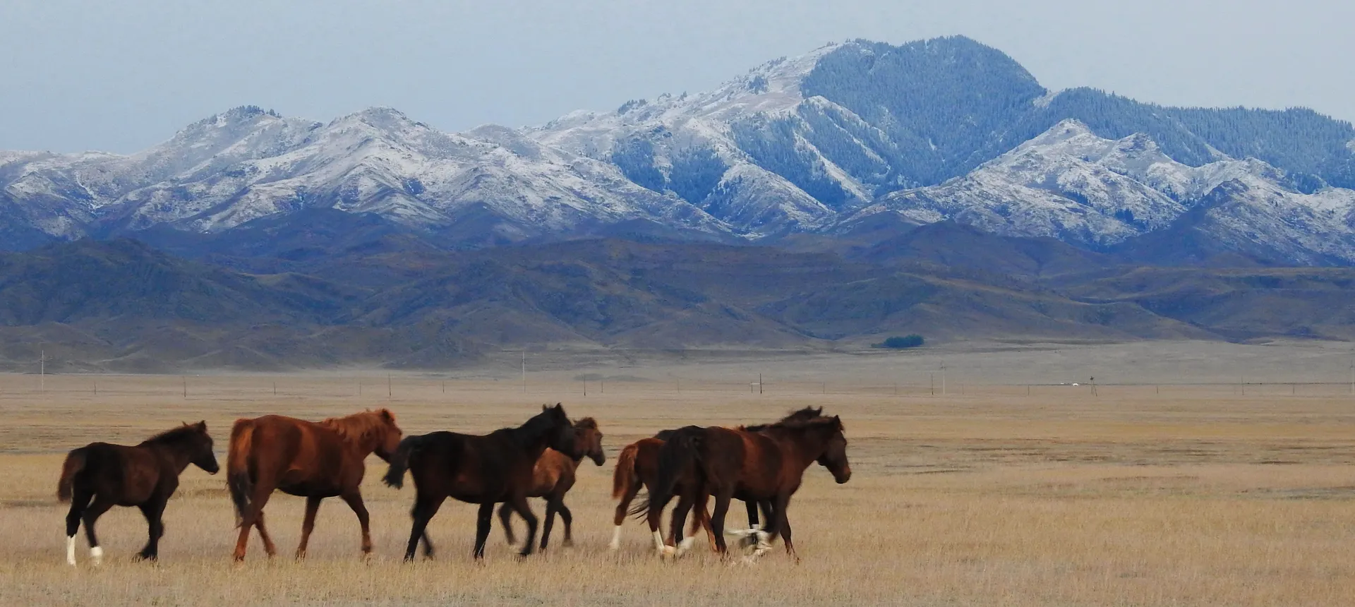 Kolsay Lake mountain scenery in Kazakhstan